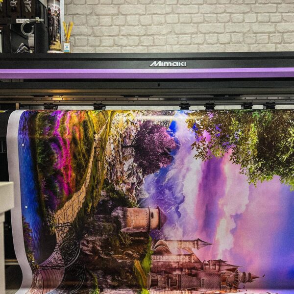 3129178056114594242_53706779918